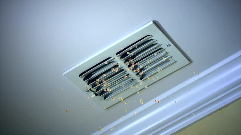 Best HVAC Air Duct Cleaning  in Columbus, NM