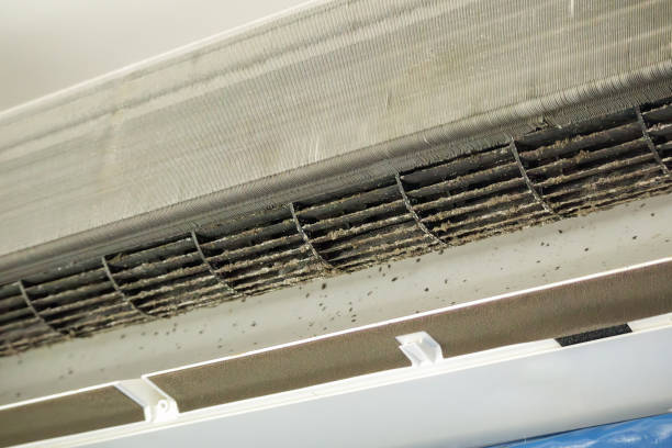 Best General Air Duct Cleaning  in Columbus, NM